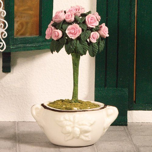 Dolls House Standard Garden Rose