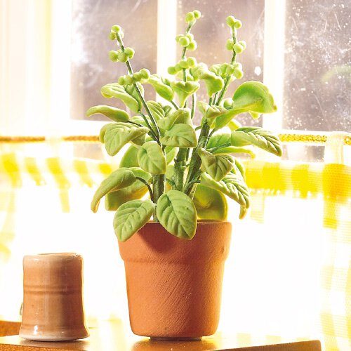 Dolls House Pot of Basil