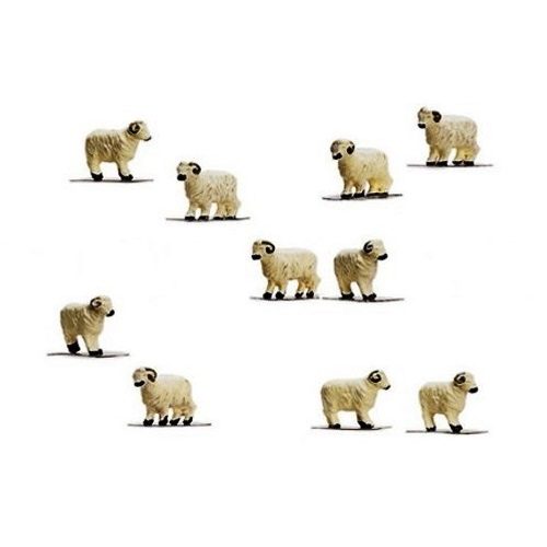 00 gauge sheep