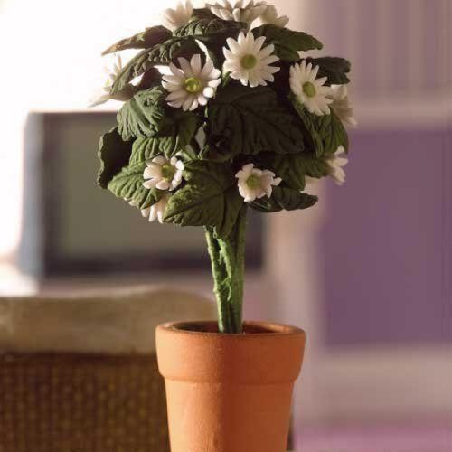 Dolls House Standard White Daisy