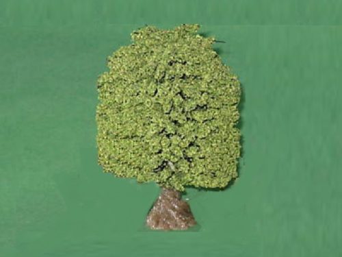 Javis Small Oak Tree