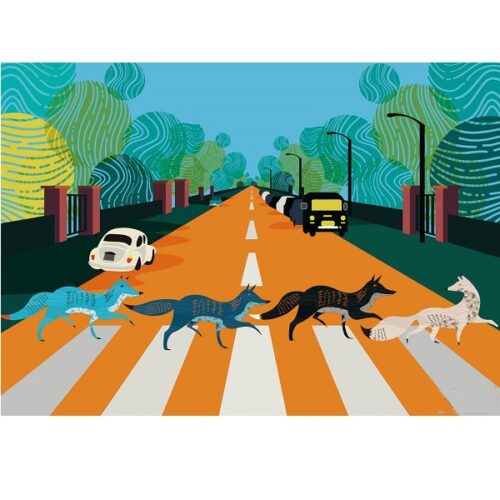 Abbey Road Foxes (White Logo) - 500 Piece